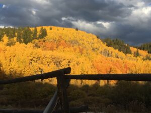 Aspen alley breckenridge