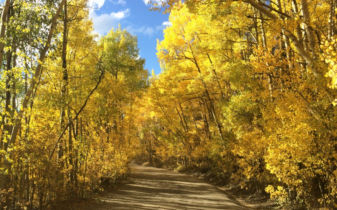 Boreas Pass: Must See in Breckenridge