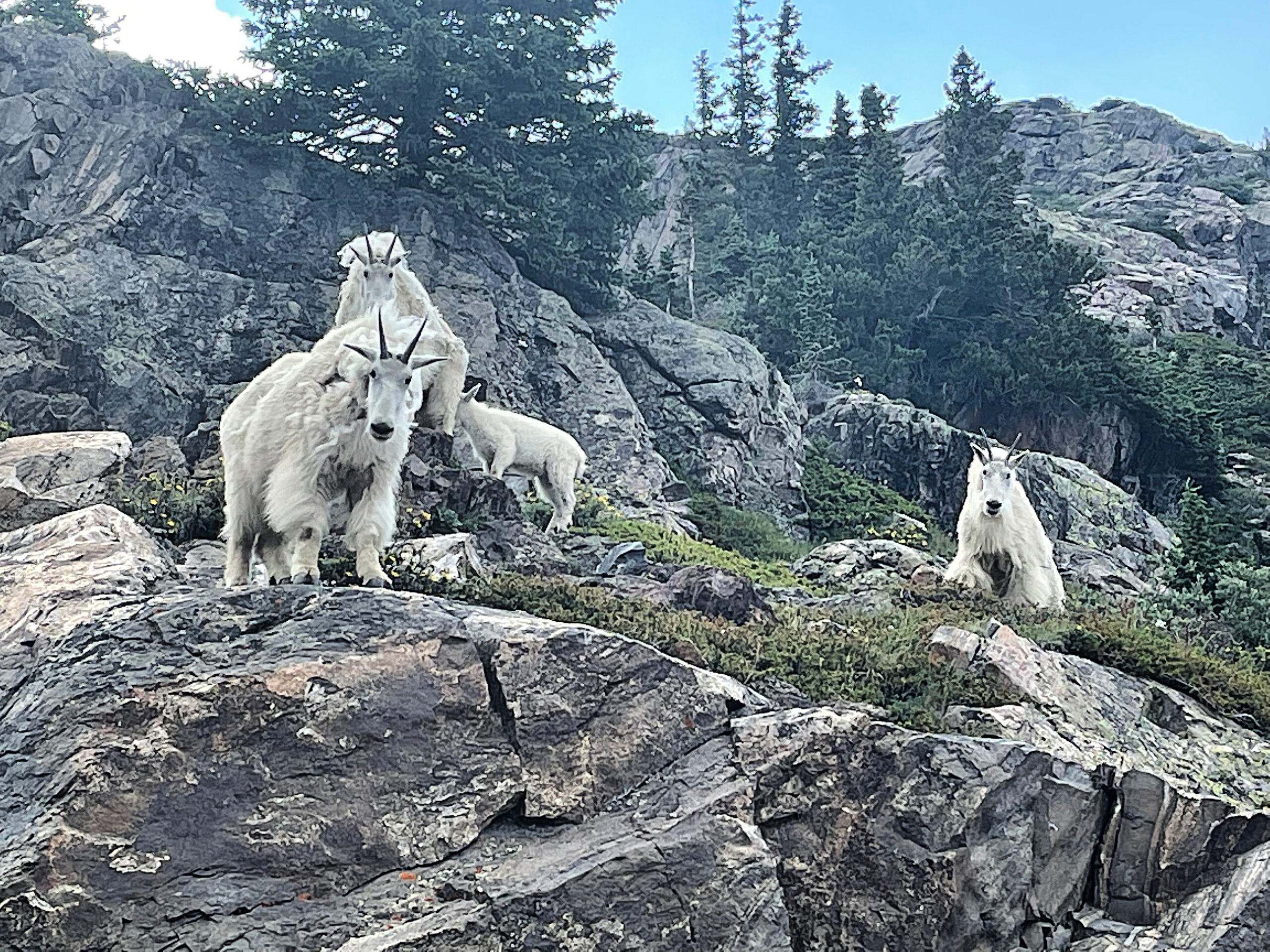 Best Easy Breckenridge Hiking Trails