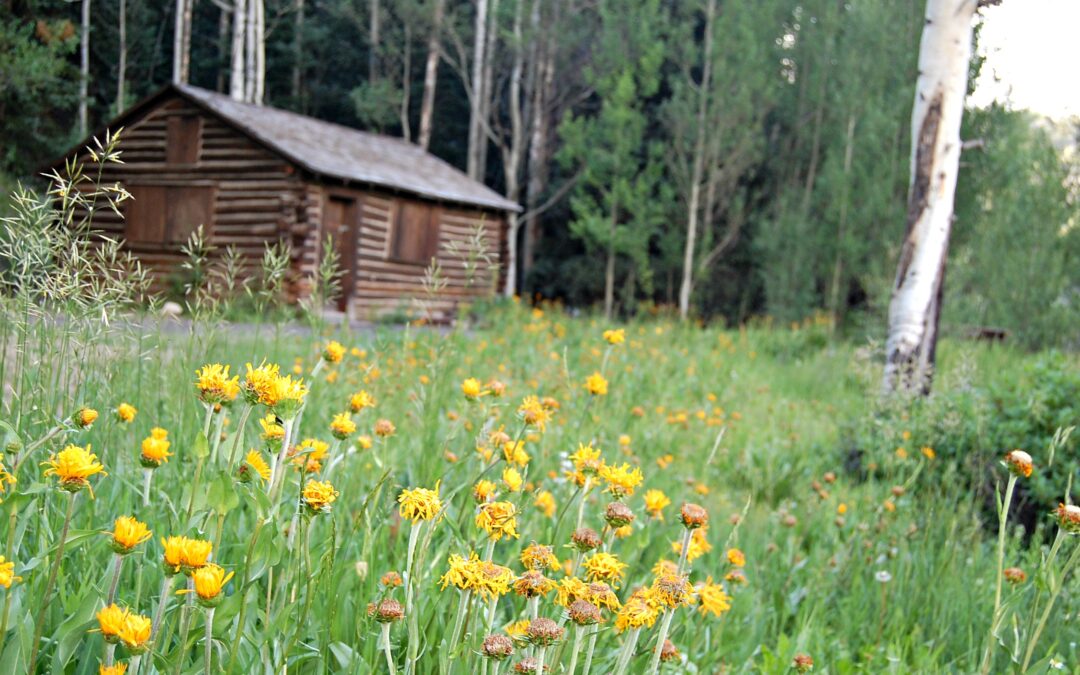Seasonal Activities in Breckenridge, CO