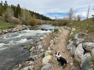 blue river trail breckenridge