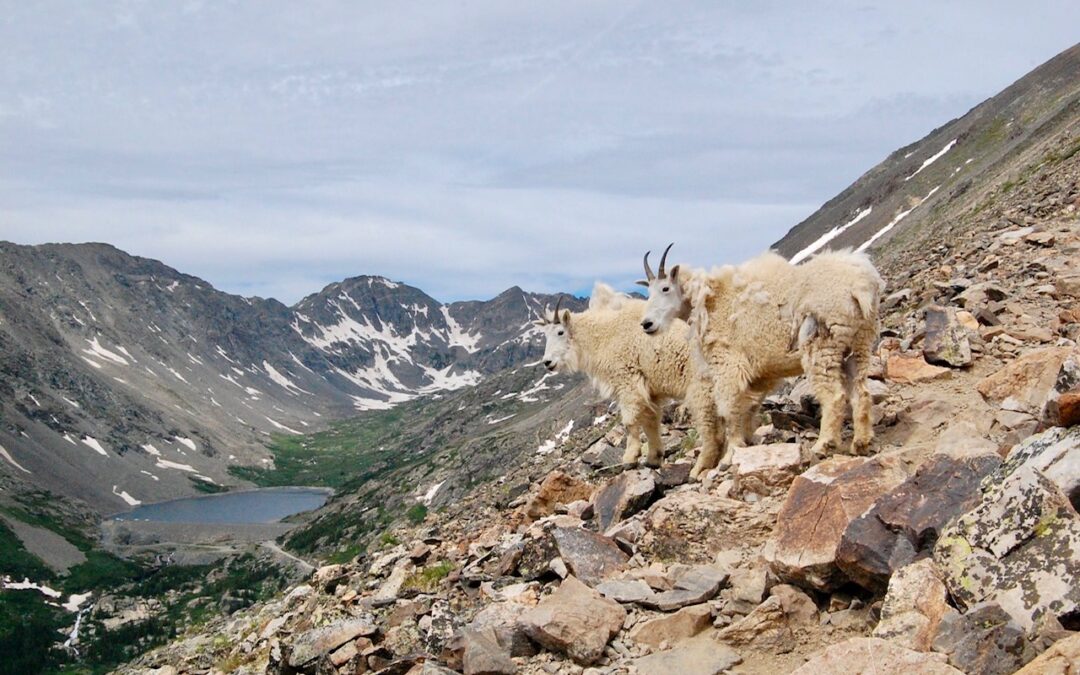 Best Easy Hiking Trails in Breckenridge