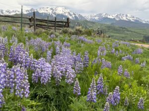 acorn creek loop silverthorne